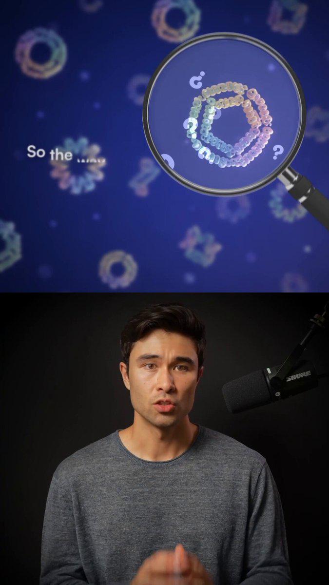 Stanford与Arc Institute发布Proto开源框架，整合120多个AI生物学模型