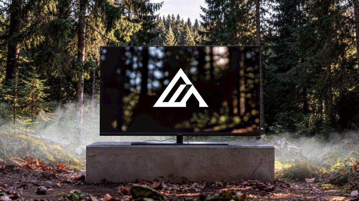 FLUX 3 发布：Black Forest Labs 推出真实世界模型
