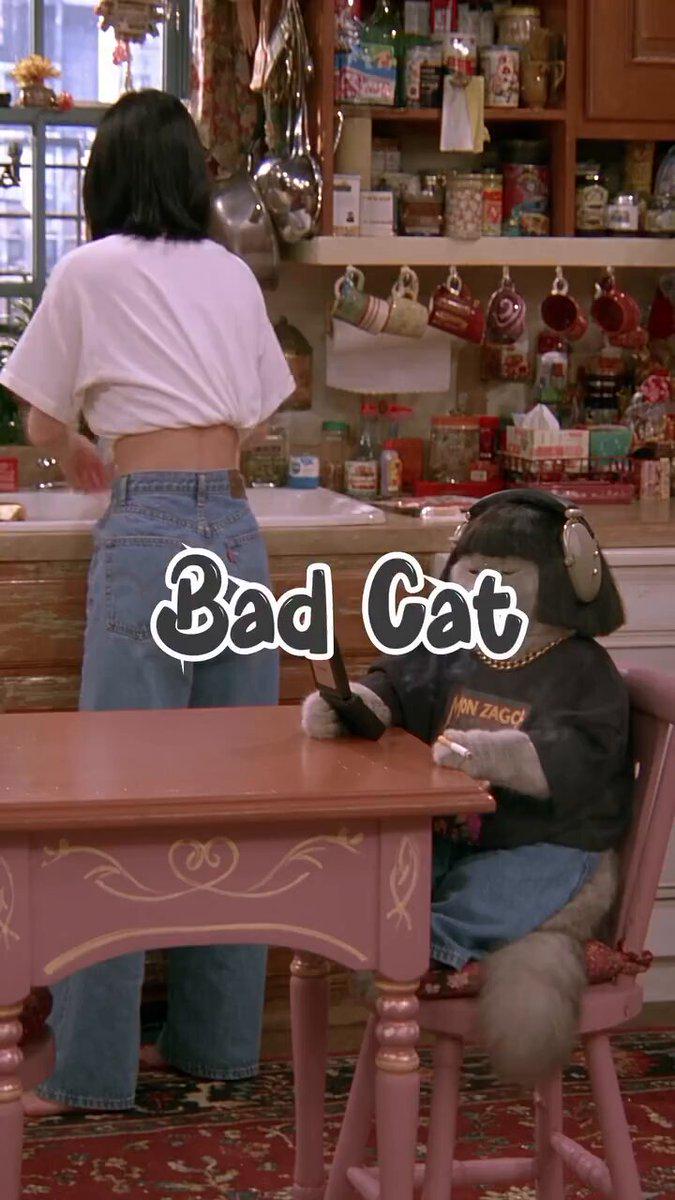AI情景喜剧《Bad Cat》获好评
