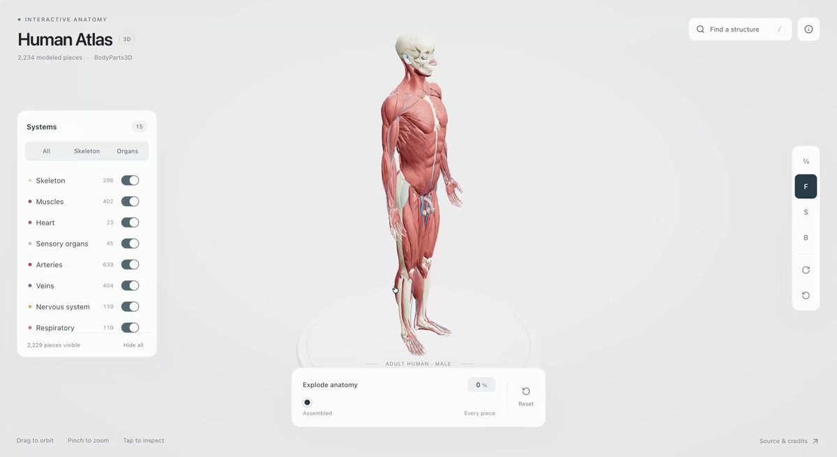 GPT-6 Astra推出可交互3D人体解剖网站