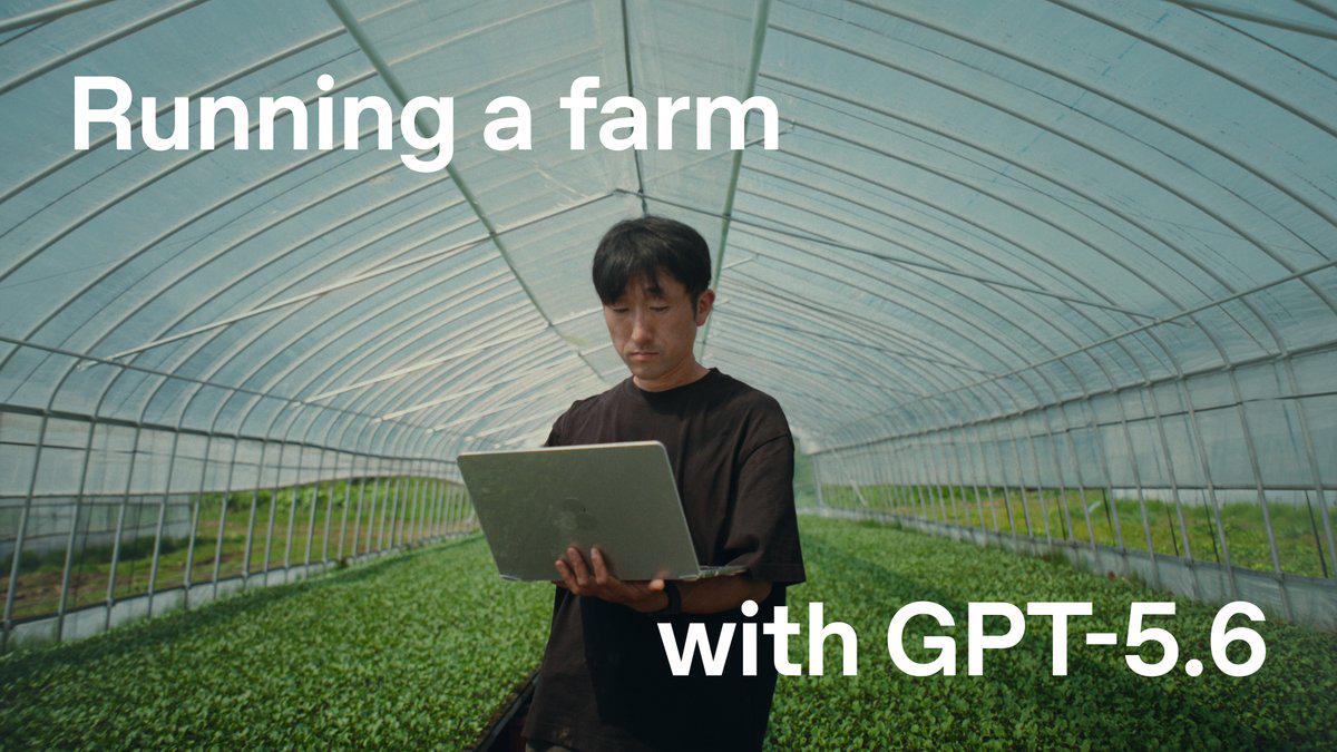 日本农民Hiroki用GPT-5.6运营西兰花农场